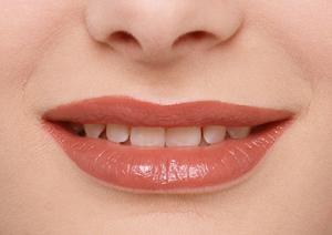 大阪最大級の軽自動車・未使用車専門店|カミタケモータースの魅力と最新情報